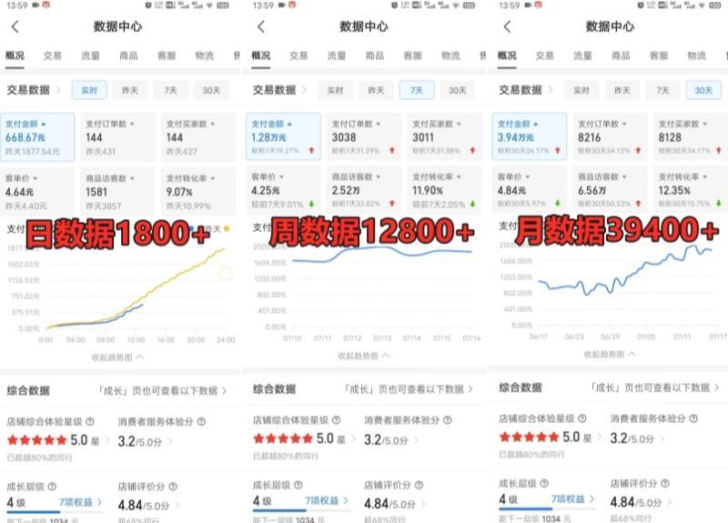 拼多多虚拟电商训练营月入30000+你也行,暴利稳定长久,副业首选-图片2