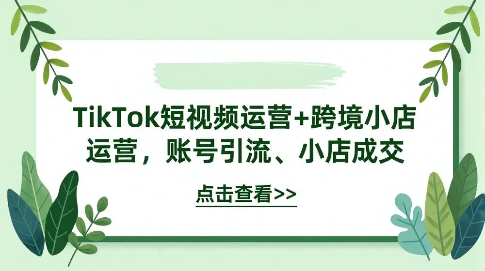 TikTok短视频运营+跨境小店运营，账号引流、小店成交
